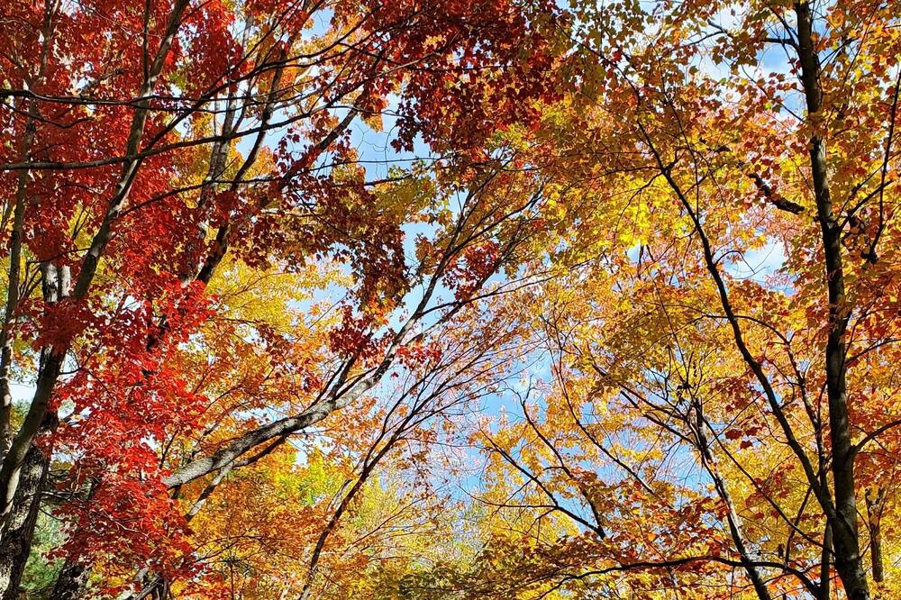 Photo of Outdoor in Lac-Brome