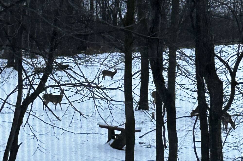 Photo of Others in Brockport