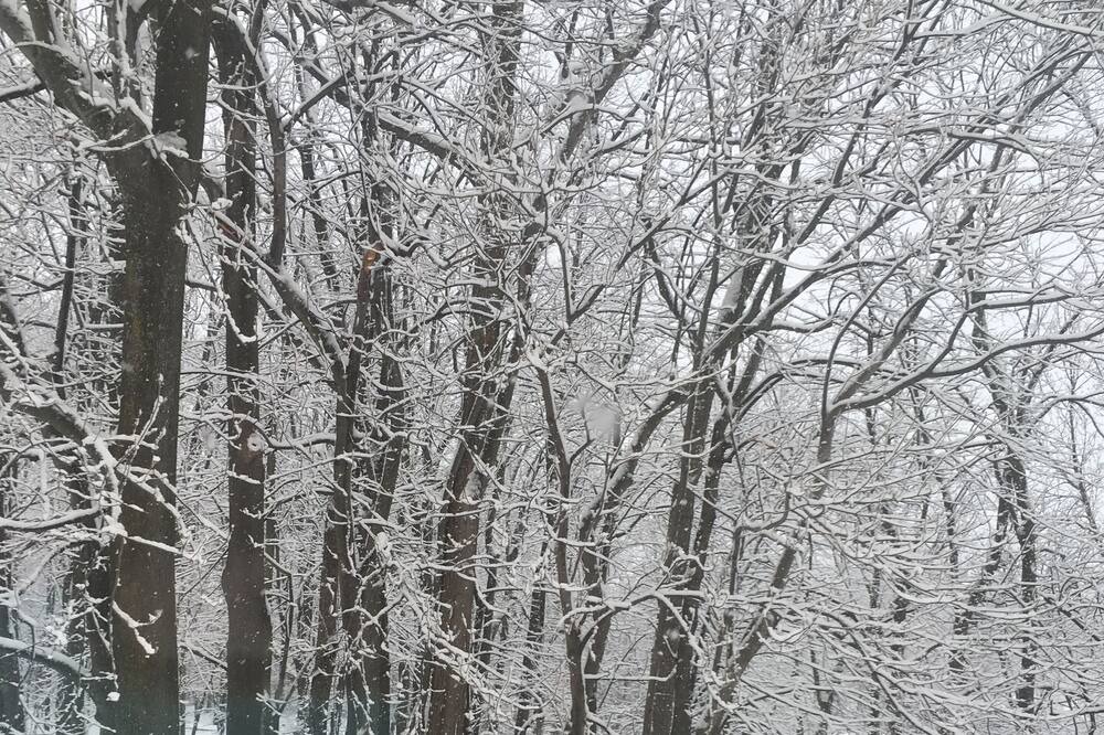 Photo of Others in Brockport