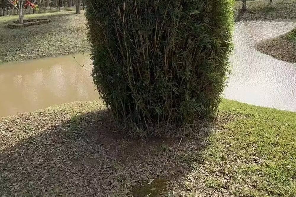 Photo of Outdoor in Iowa Colony