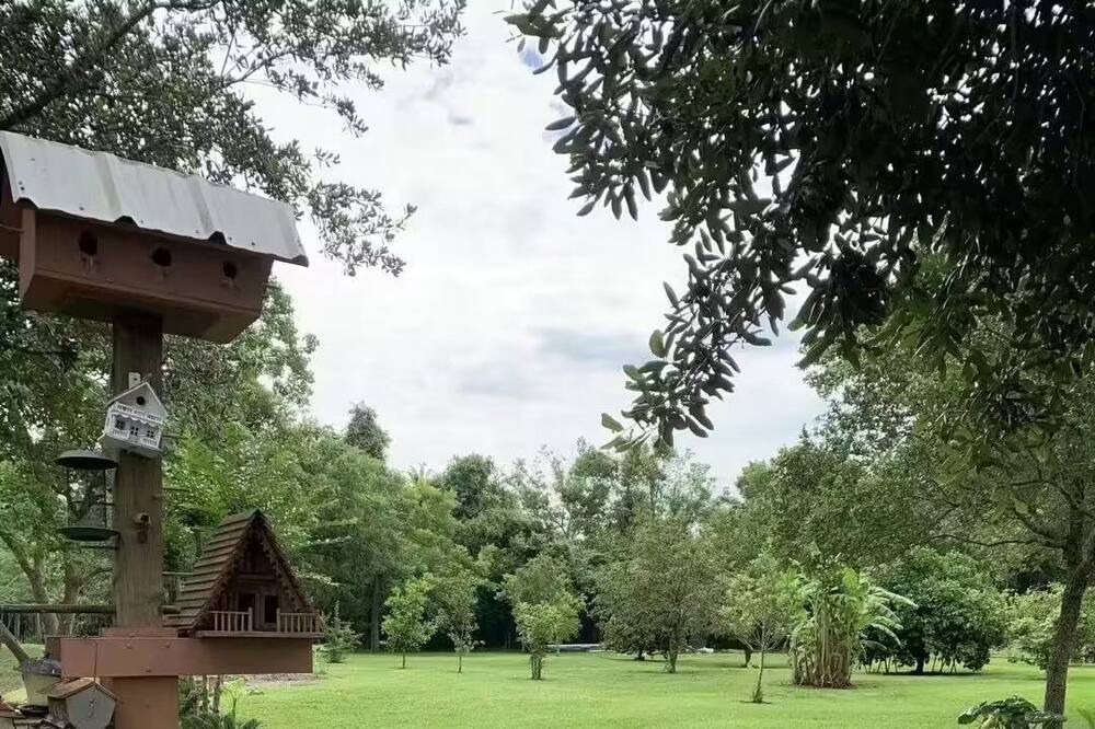 Photo of Outdoor in Iowa Colony