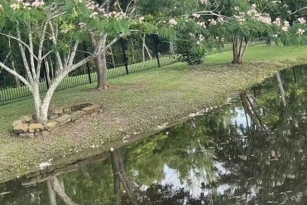 Photo of Others in Iowa Colony