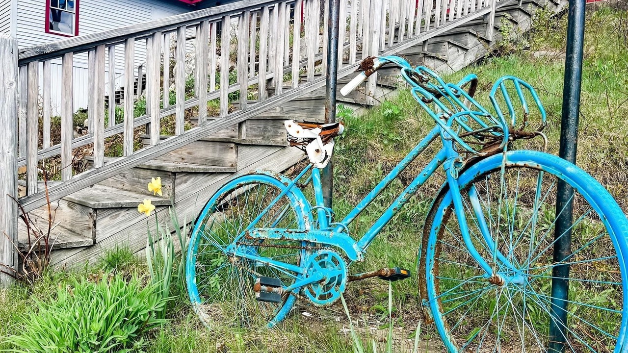 Photo of Outdoor in Sebascodegan Island