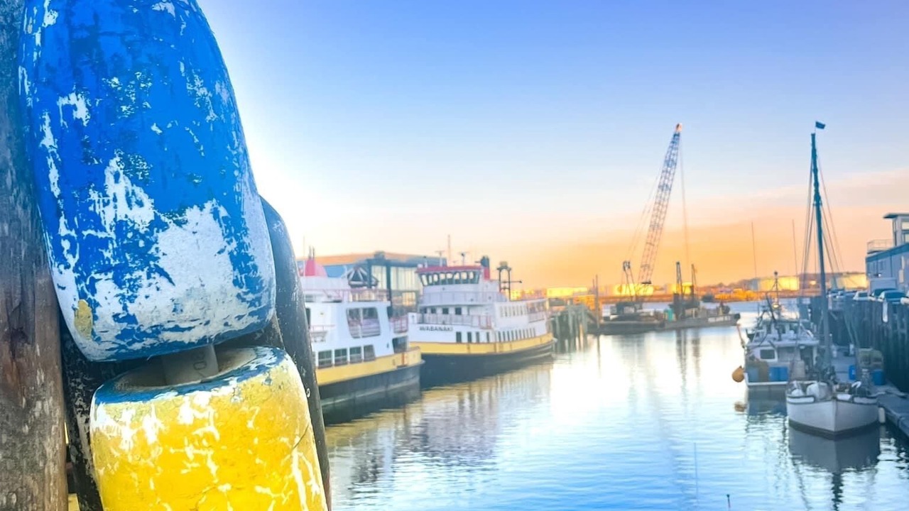 Photo of Others in Sebascodegan Island