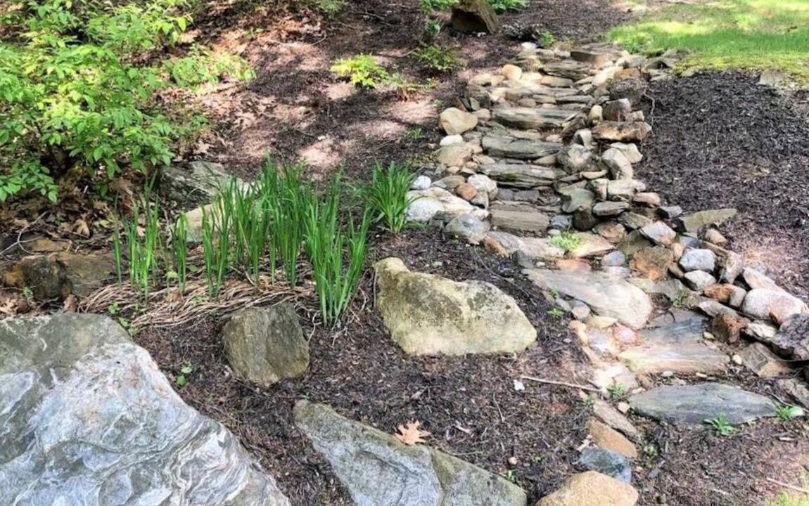 Photo of Outdoor in Sebascodegan Island