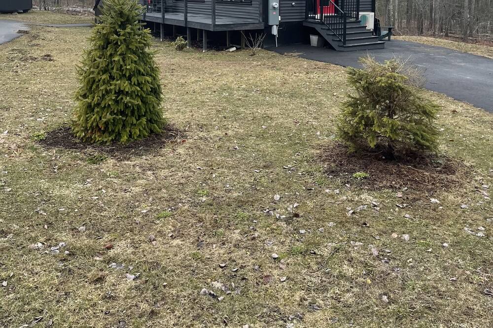 Photo of Outdoor in South Thomaston