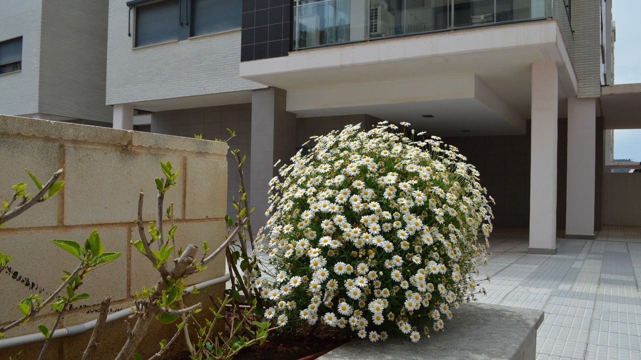 Photo of Outdoor in Marina d'Or