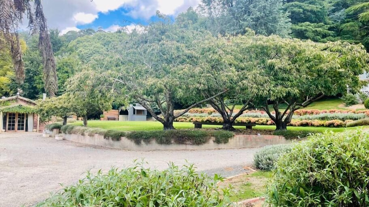 Photo of Outdoor in The Patch