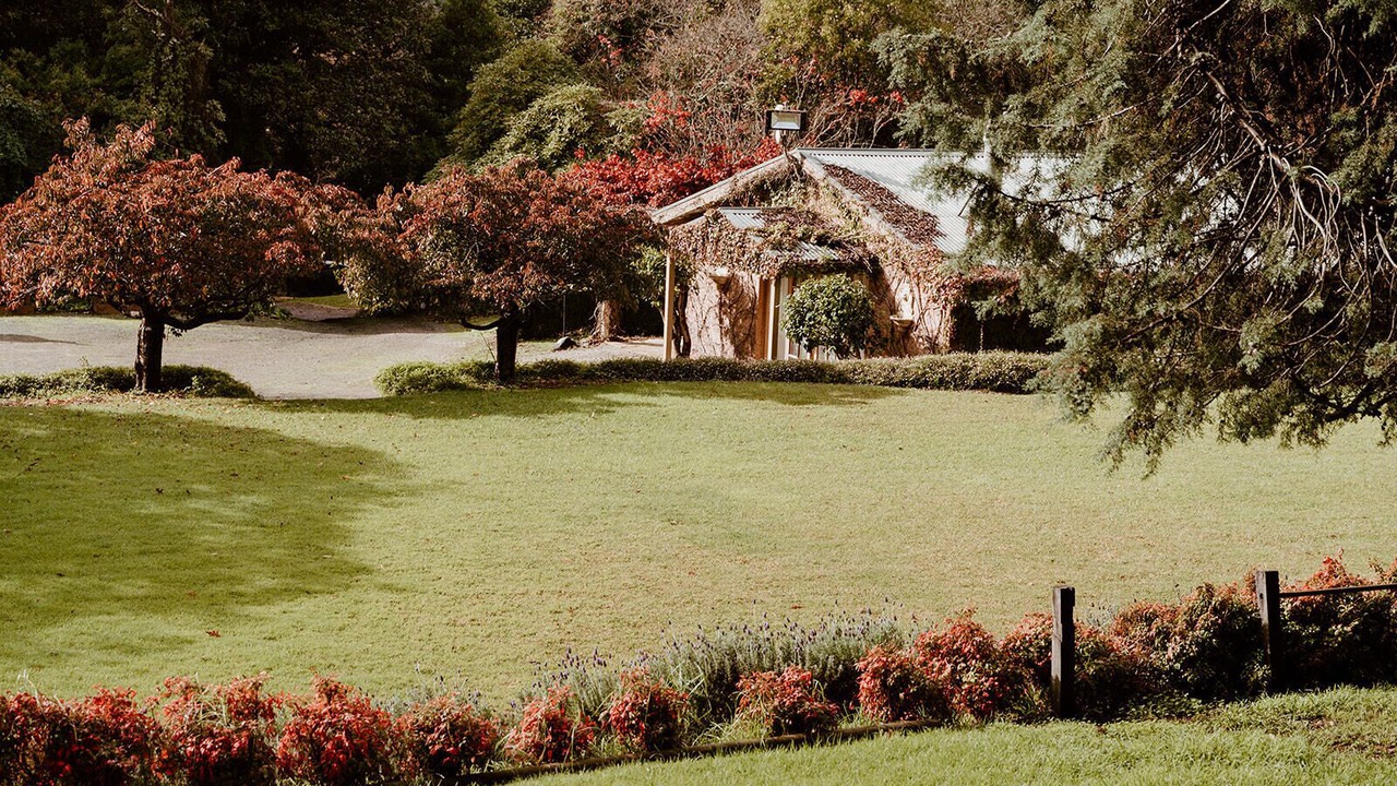 Photo of Others in The Patch