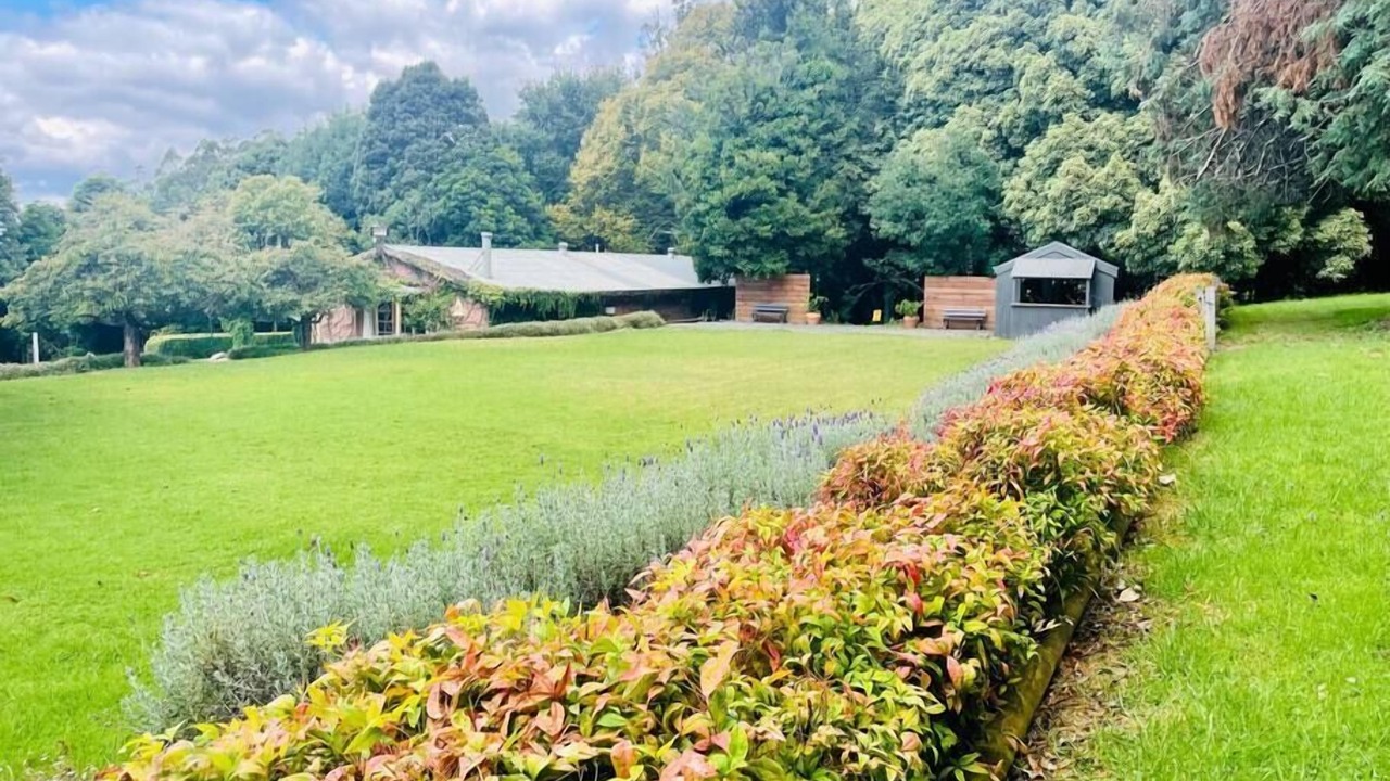 Photo of Outdoor in The Patch