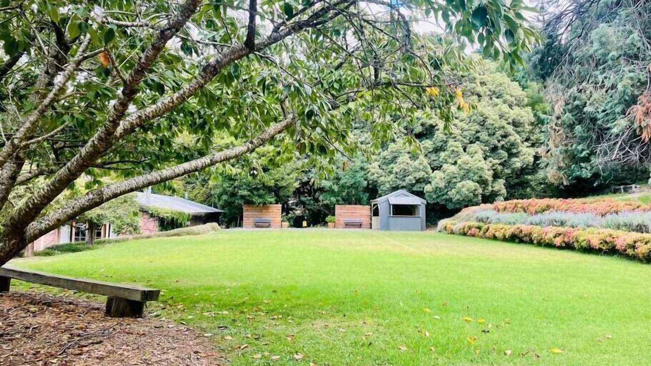 Photo of Others in The Patch