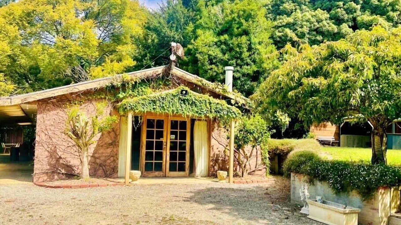 Photo of Outdoor in The Patch