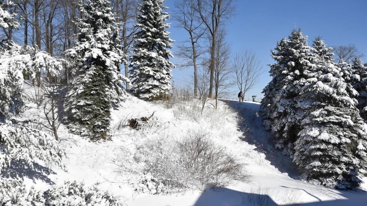 Photo of Outdoor in Seven Springs