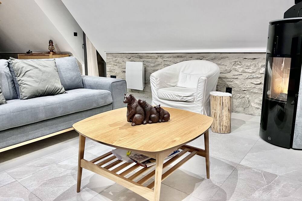 Photo of Livingroom in Tramezaigues