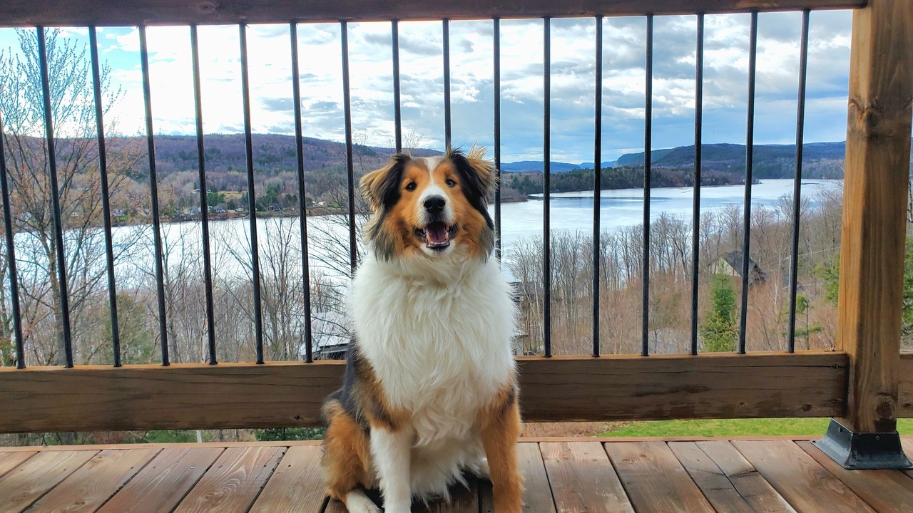 Photo of Outdoor in Mauricie
