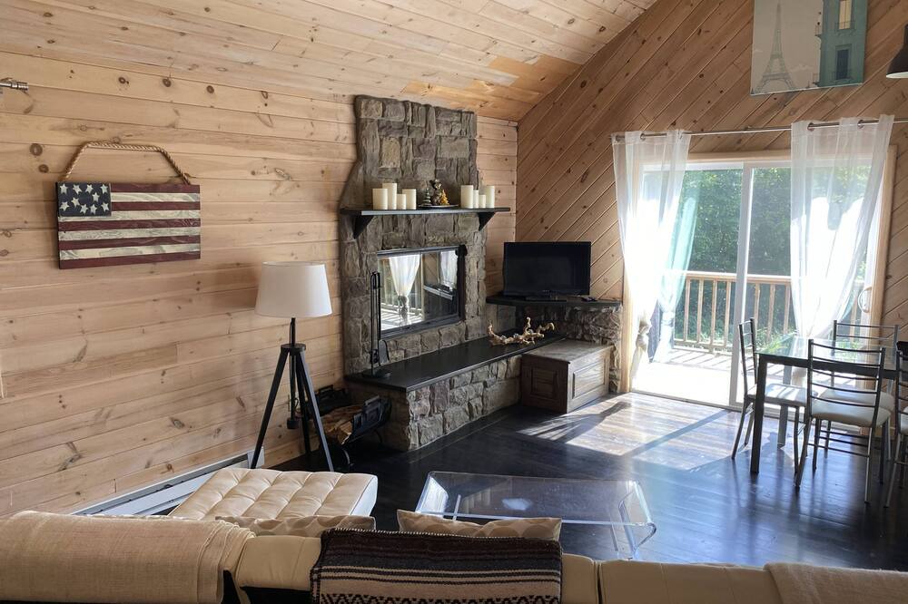 Photo of Livingroom in South Kortright