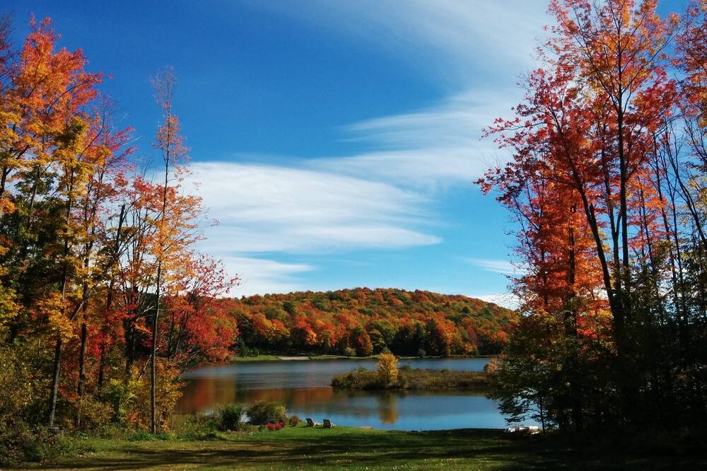 Photo of Outdoor in South Kortright