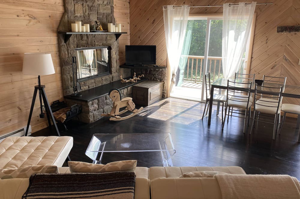 Photo of Livingroom in South Kortright