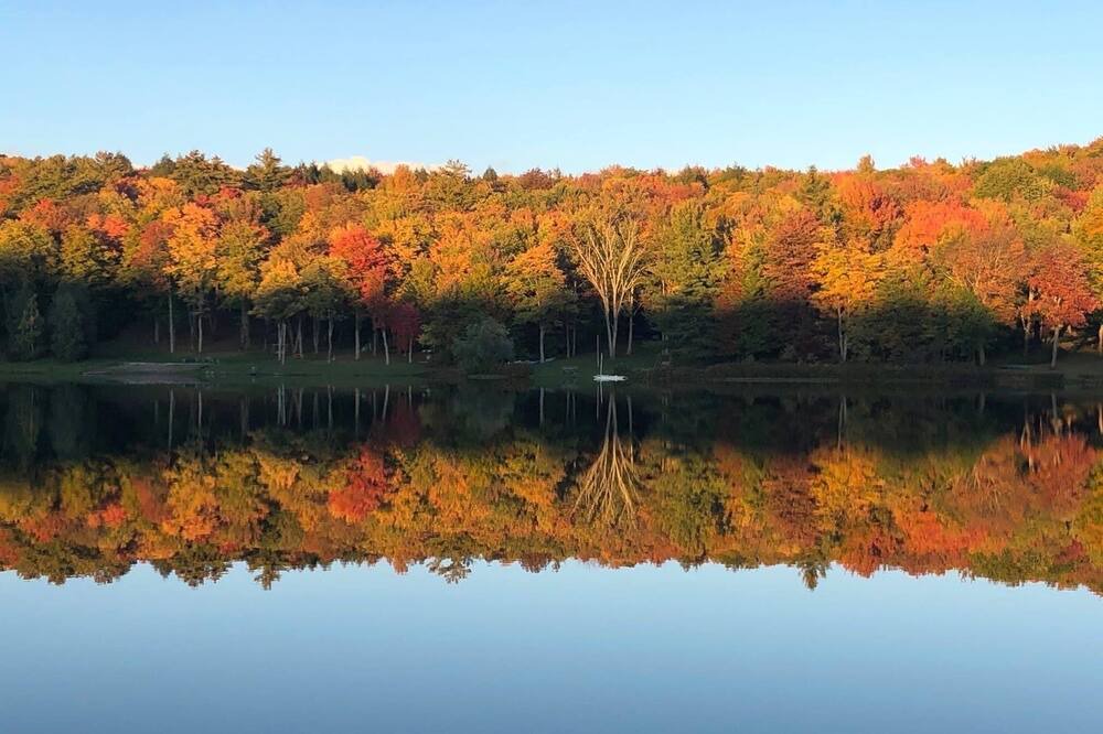 Photo of Others in South Kortright