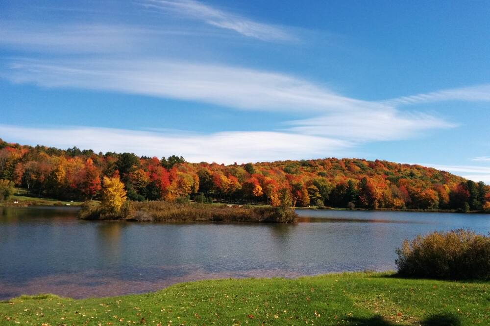 Photo of Outdoor in South Kortright