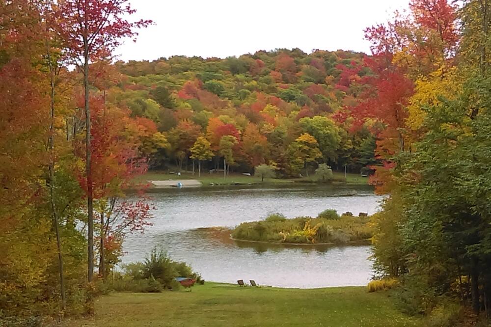 Photo of Outdoor in South Kortright