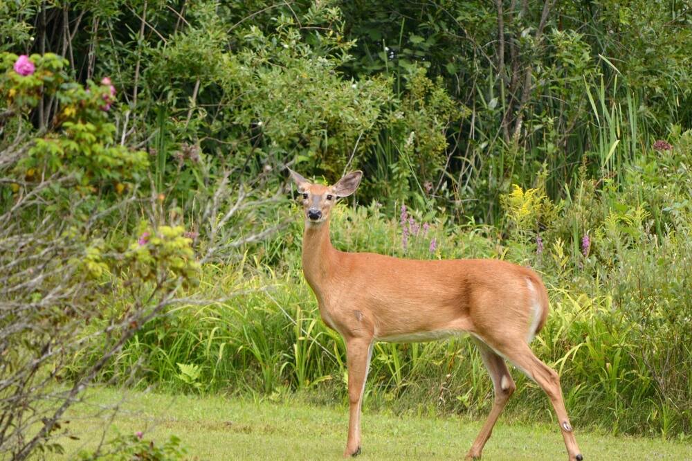 Photo of Outdoor in Val-des-Bois