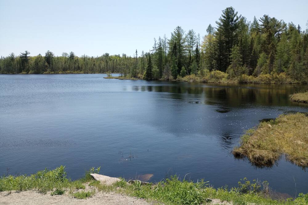 Photo of Others in MacTier