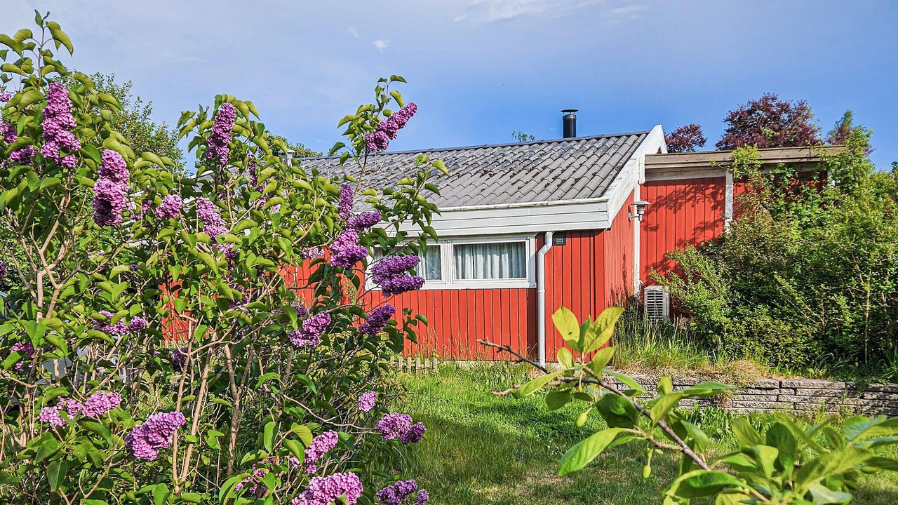 Photo of Outdoor in Bog By