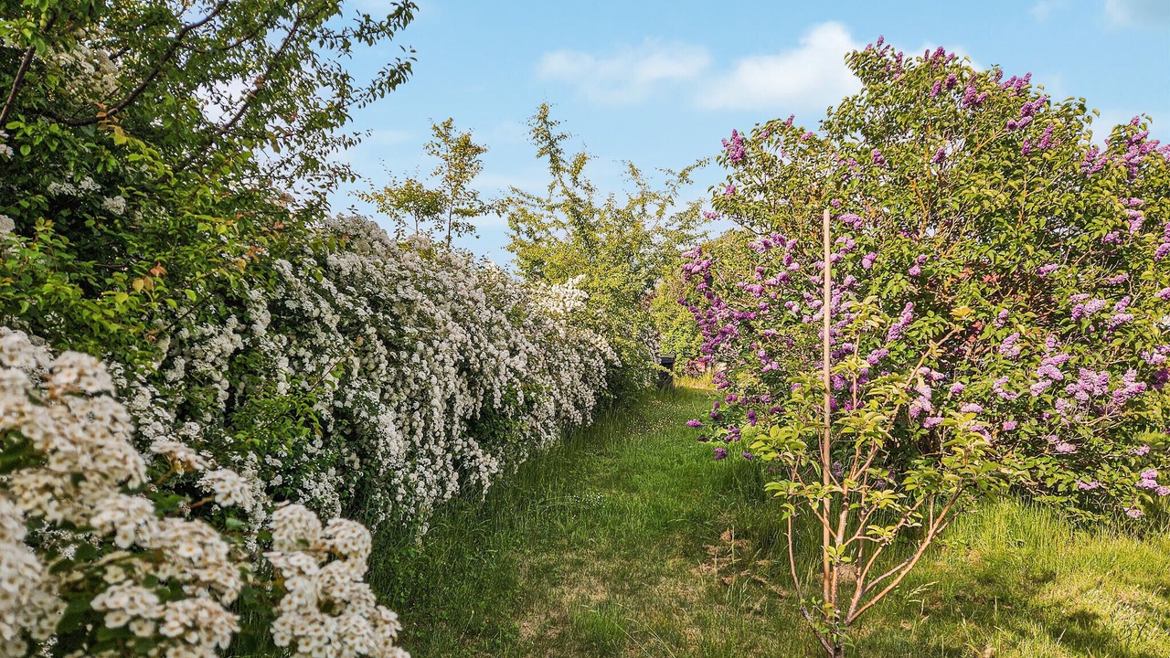 Photo of Outdoor in Bog By