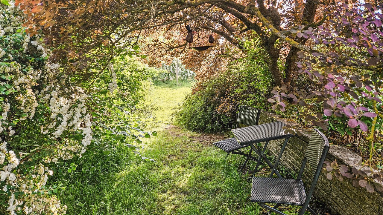 Photo of Outdoor in Bog By