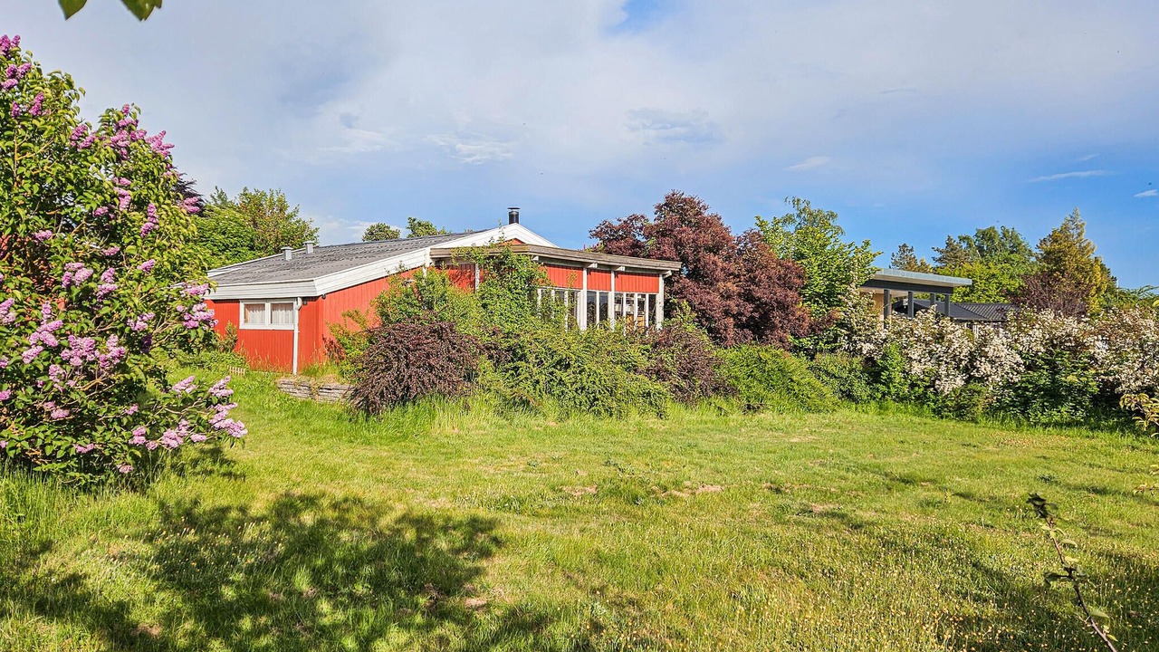 Photo of Outdoor in Bog By