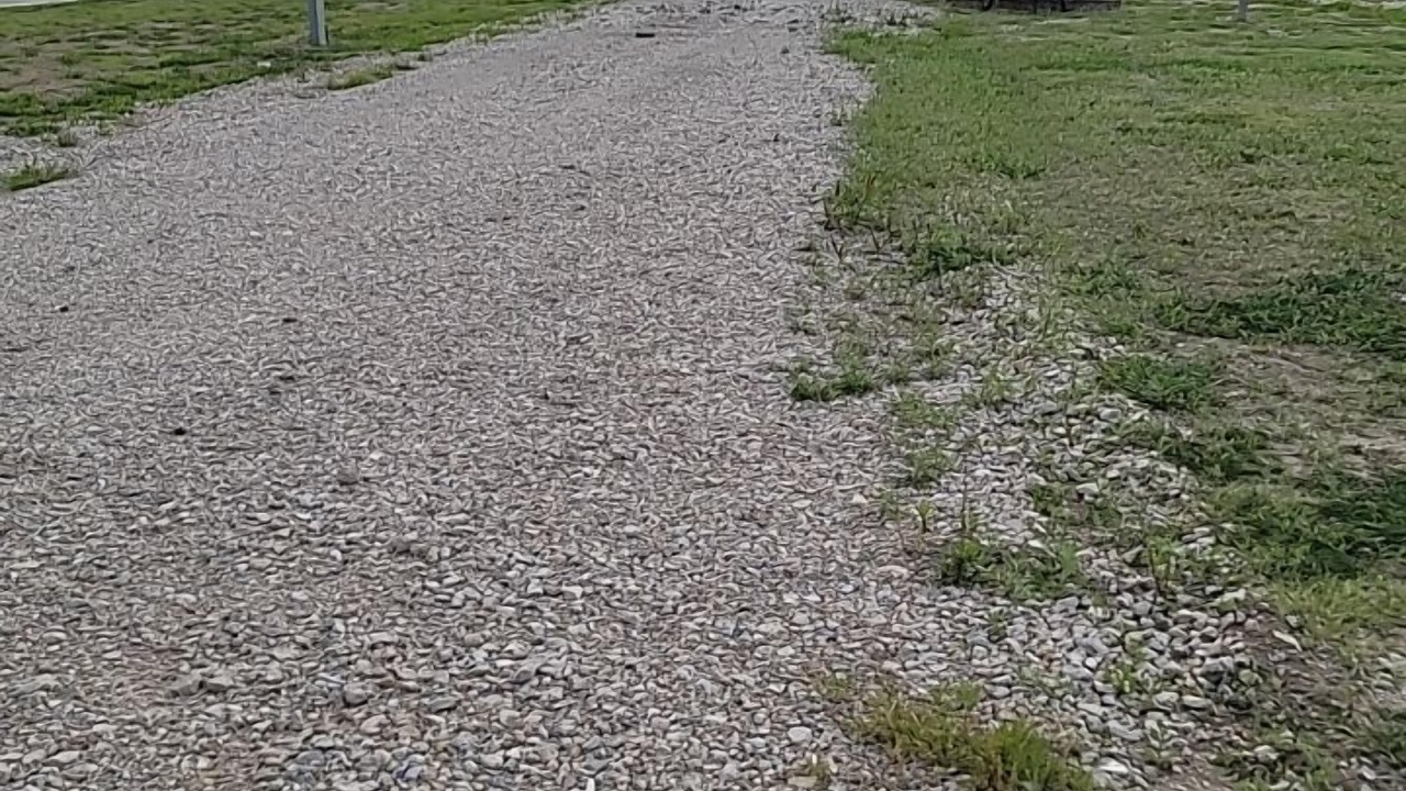 Photo of Outdoor in Kerens