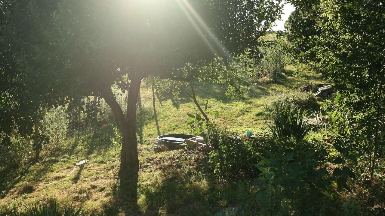Photo of Outdoor in Roumegoux