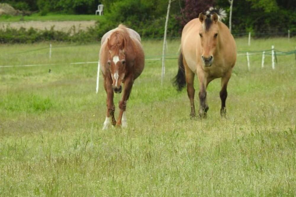 Photo of Others in Pays Forcalquier et Montagne de Lure