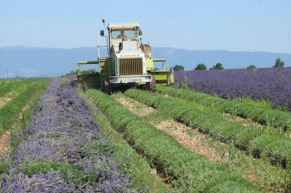 Photo of Outdoor in Pays Forcalquier et Montagne de Lure