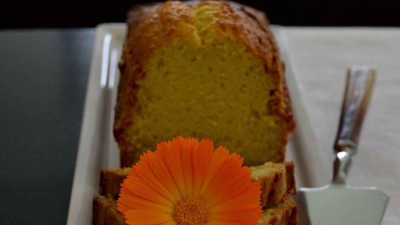 Photo of Others in Saint-Paul-de-Baise