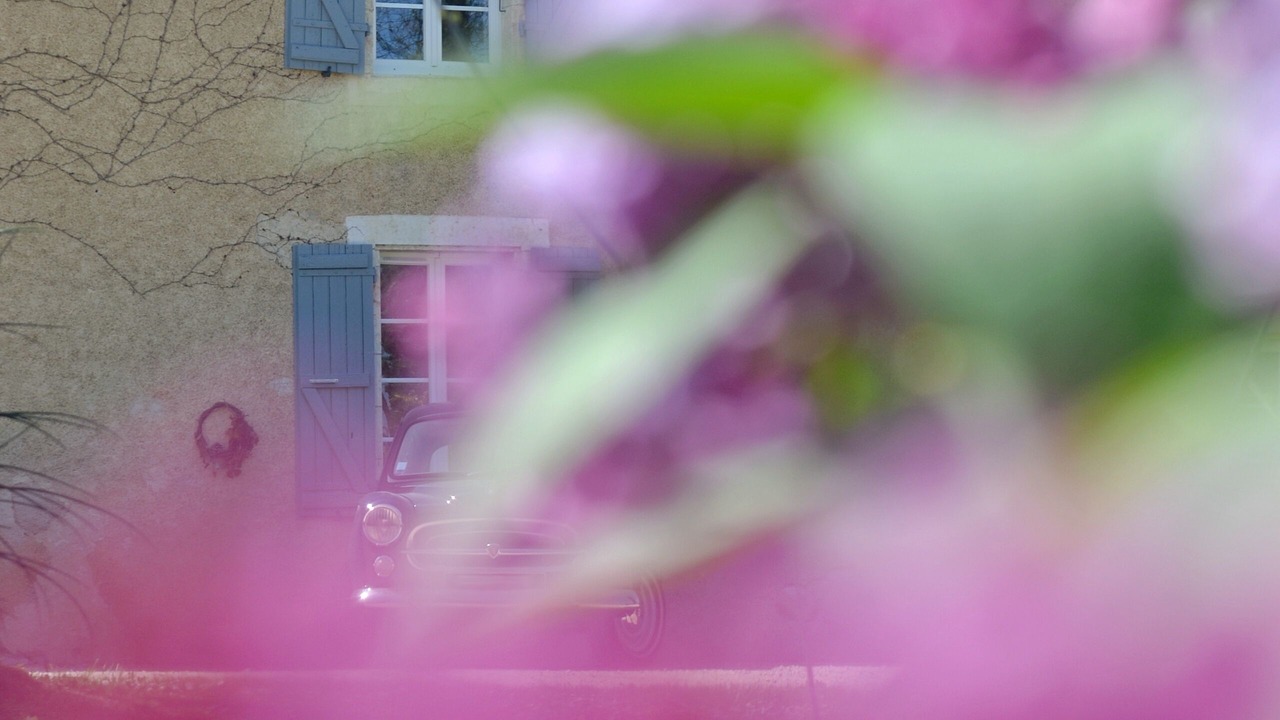 Photo of Outdoor in Saint-Paul-de-Baise