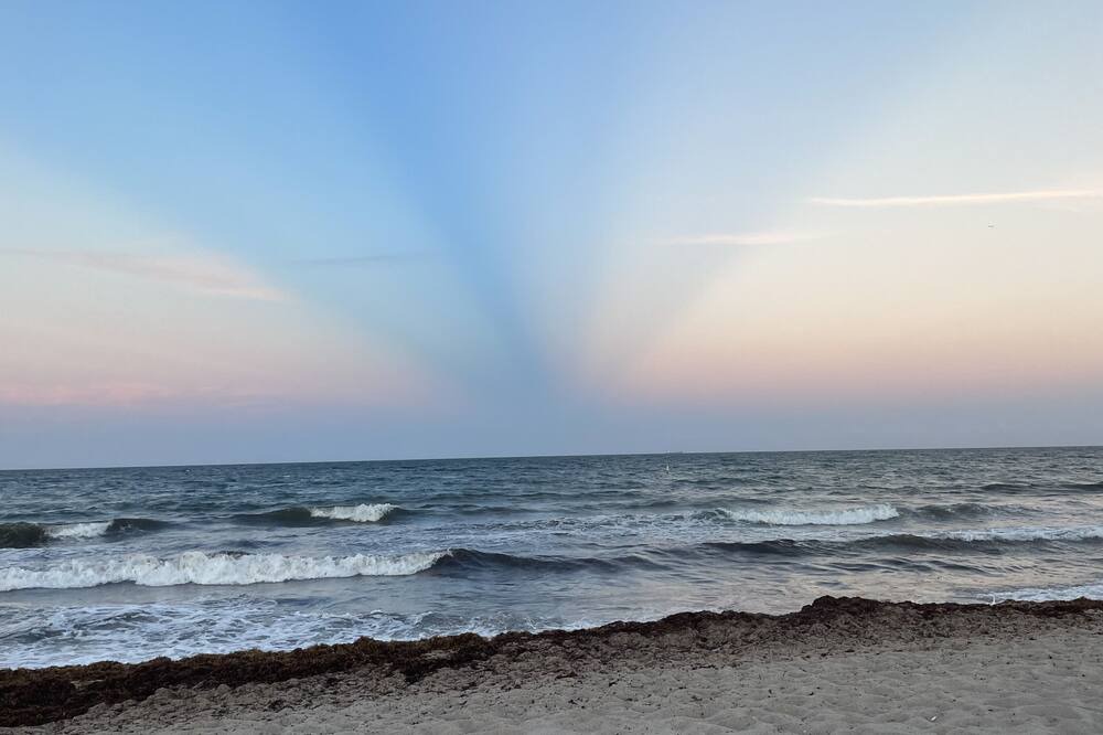 Photo of Others in Tamarac