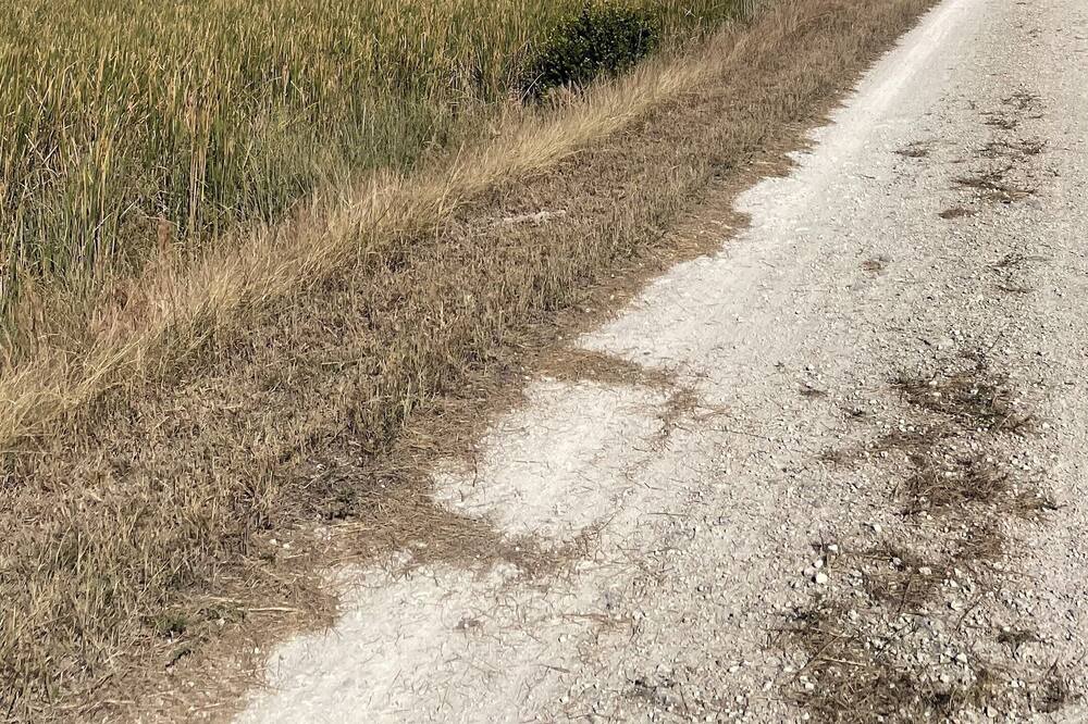 Photo of Outdoor in Tamarac
