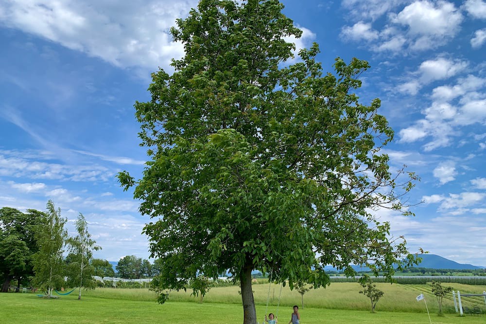 Photo of Others in Sisteron