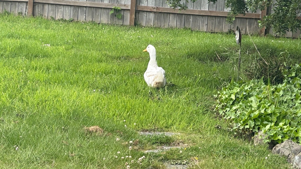 Photo of Outdoor in Crescent City North