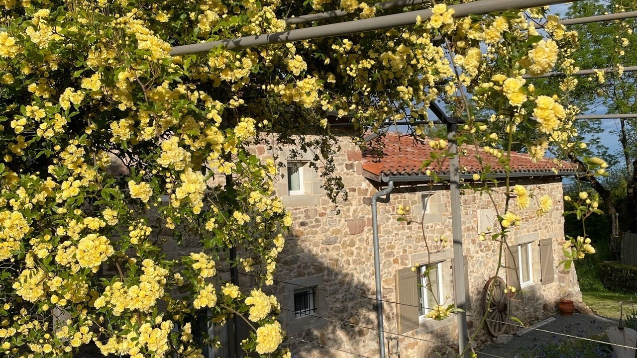Photo of Others in Tonnac