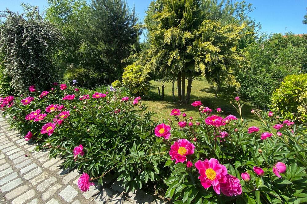 Photo of Outdoor in Lupcourt
