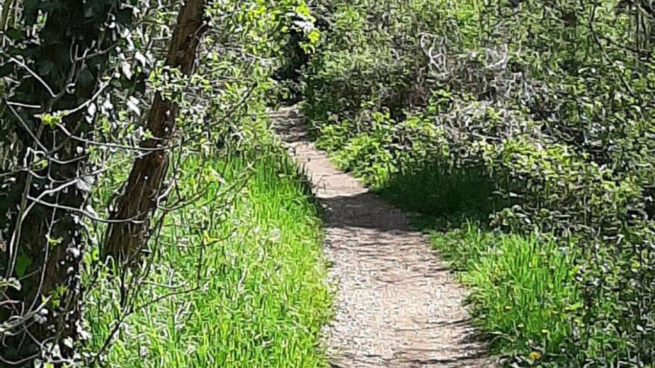 Photo of Outdoor in Vaureal