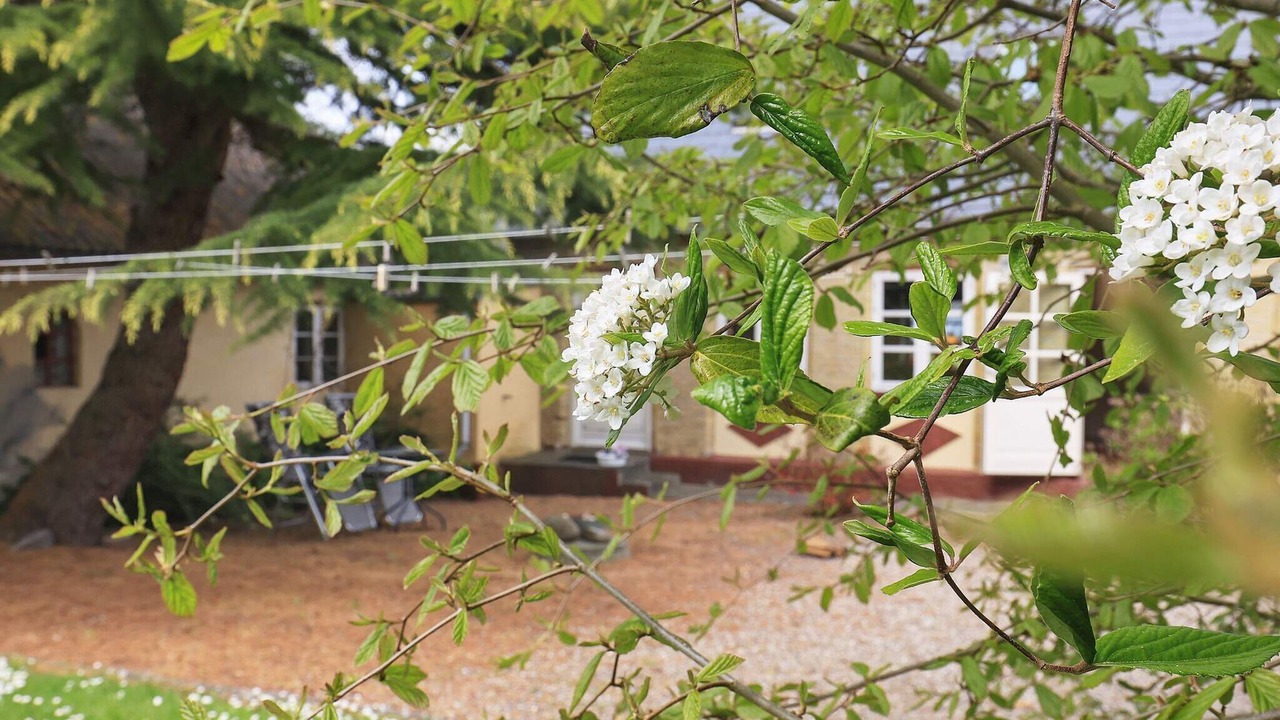 Photo of Outdoor in Aeroskobing
