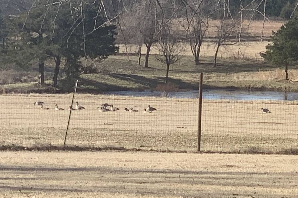 Photo of Others in Tishomingo