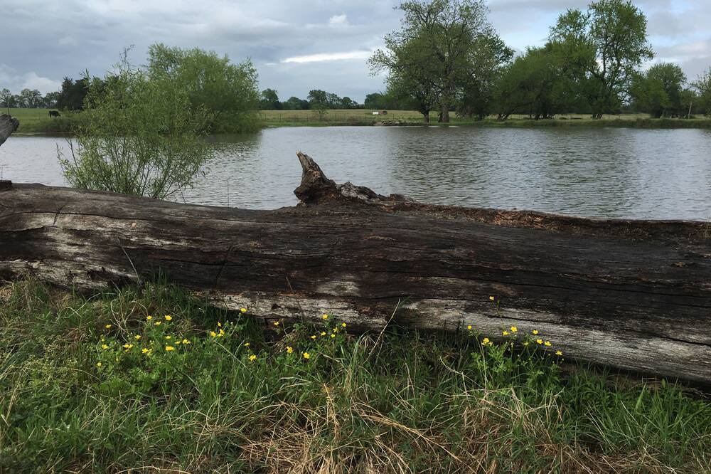 Photo of Others in Tishomingo