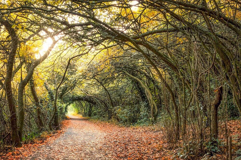 Photo of Others in Clevedon