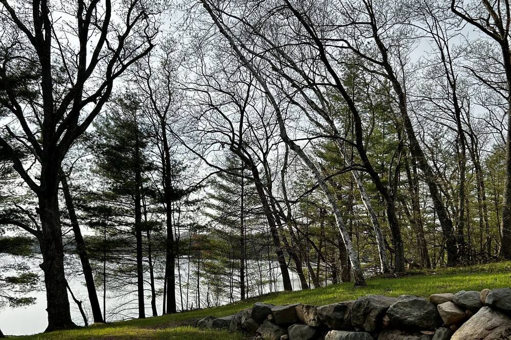 Photo of Outdoor in Luck
