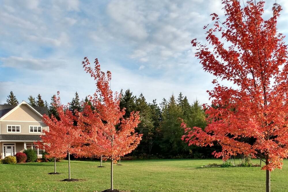 Photo of Outdoor in Montague